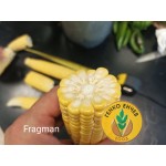 Царевица Фрагман F1 / Fragman F1 / от производител May seeds Царевица Фрагман F1 / Fragman F1 / от производител May seeds