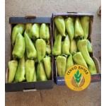 Пипер SV0102PP F1 ( SM 102 F1 ) от производител Seminis 