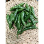 Пипер Орития F1 / Oritya F1 /  от производител Atlanta seed