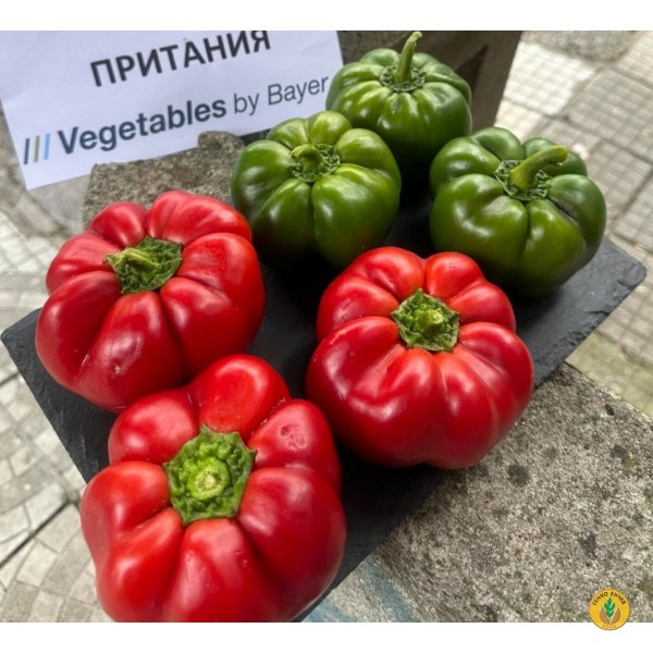 Пипер Притания F1 / Pritania F1 / от производител Seminis