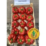 Пипер Притания F1 / Pritania F1 / от производител Seminis
