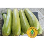 Тиквички Лирина F1 /Lirina F1/ от производител Agro Tip